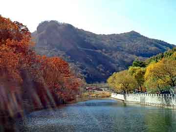 新澳天天开奖资料大全旅游团，底盘装甲价格